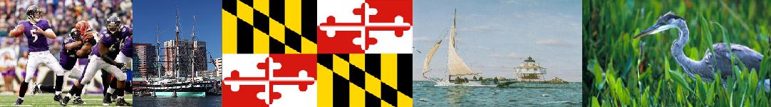 Chris Hoag - Ranks in the Top 2% Locally and Nationally