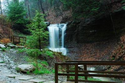 Shaler township Park